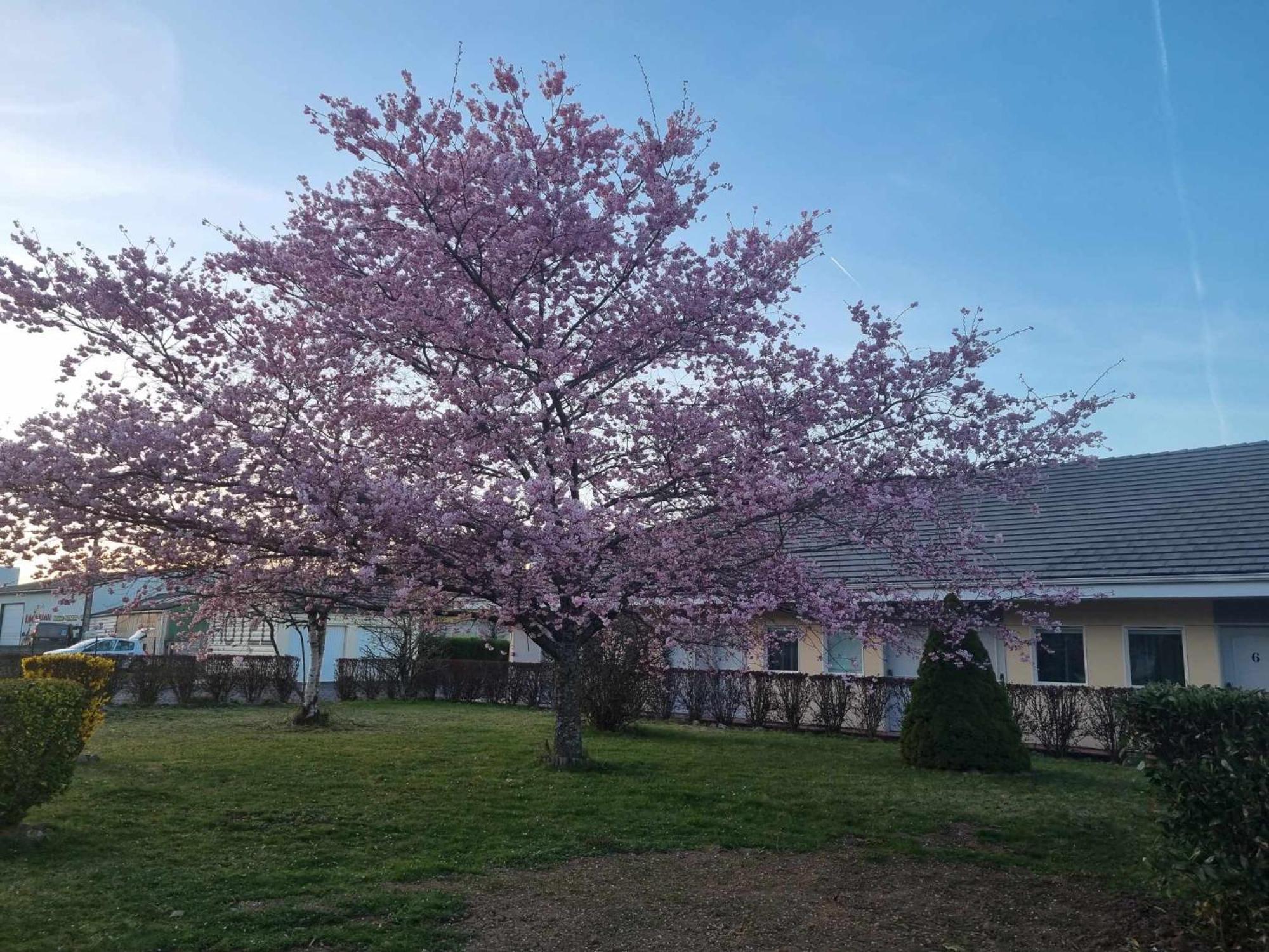 The Originals Access, Hotel Le Lutea Riom-ès-Montagne Екстериор снимка